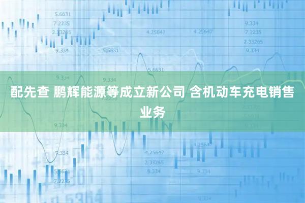 配先查 鹏辉能源等成立新公司 含机动车充电销售业务