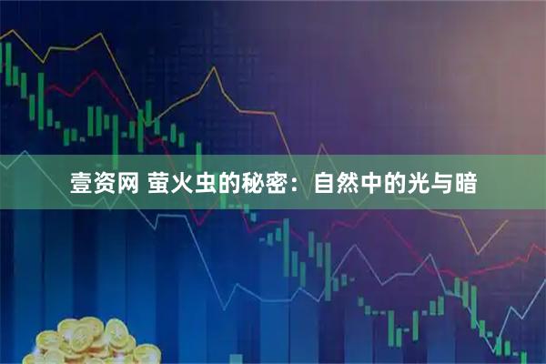 壹资网 萤火虫的秘密：自然中的光与暗