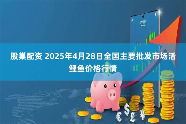 股巢配资 2025年4月28日全国主要批发市场活鲤鱼价格行情
