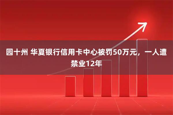 园十州 华夏银行信用卡中心被罚50万元，一人遭禁业12年